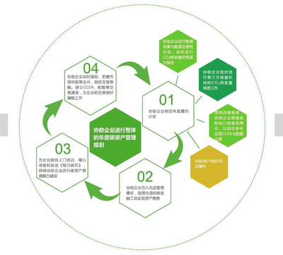 碳資產(chǎn)管理的定義及籌建碳資產(chǎn)管理公司的策略